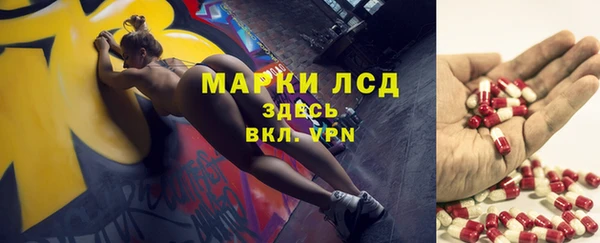 ECSTASY Алзамай