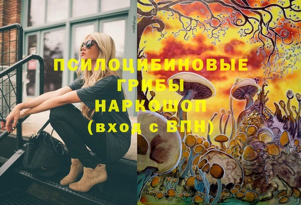 ECSTASY Алзамай