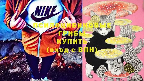 дурь Алексин