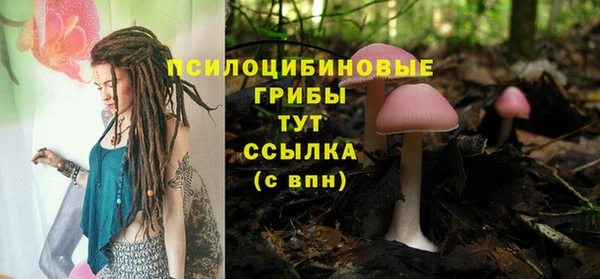 дурь Алексин