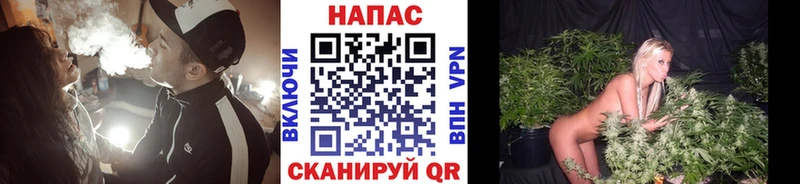 Бошки марихуана план  купить   Макушино 